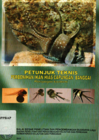 Petunjuk Teknis Perbenihan Ikan Hias Capungan Banggai