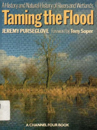 Taming the Flood